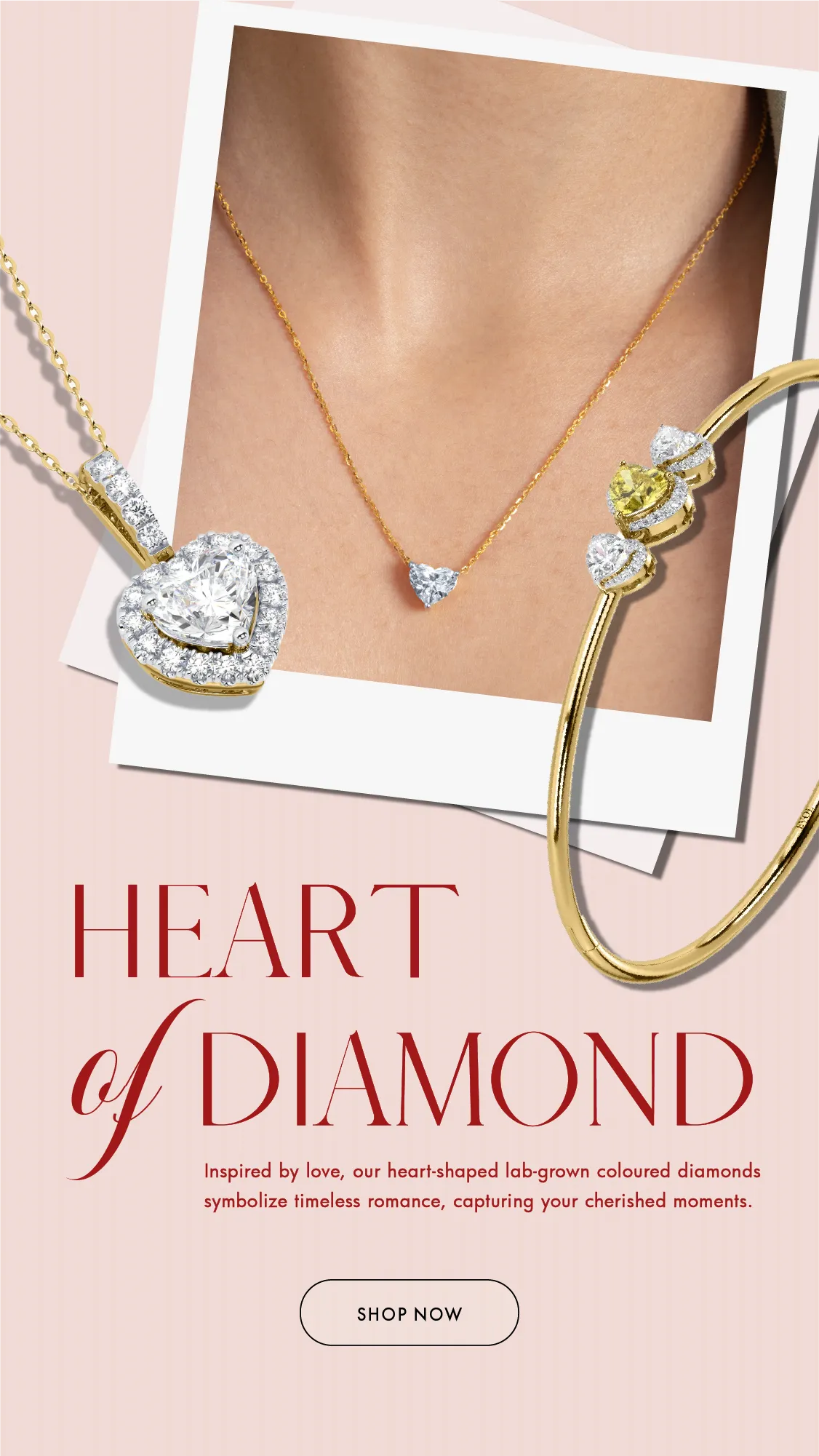 Evol Jewels social content and performance marketing